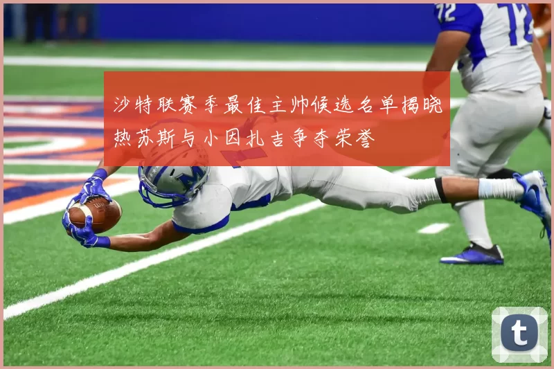 沙特联赛季最佳主帅候选名单揭晓热苏斯与小因扎吉争夺荣誉
