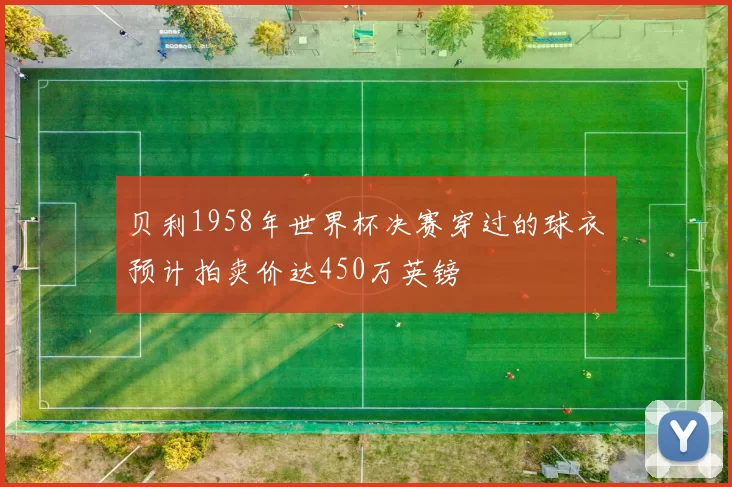 贝利1958年世界杯决赛穿过的球衣预计拍卖价达450万英镑